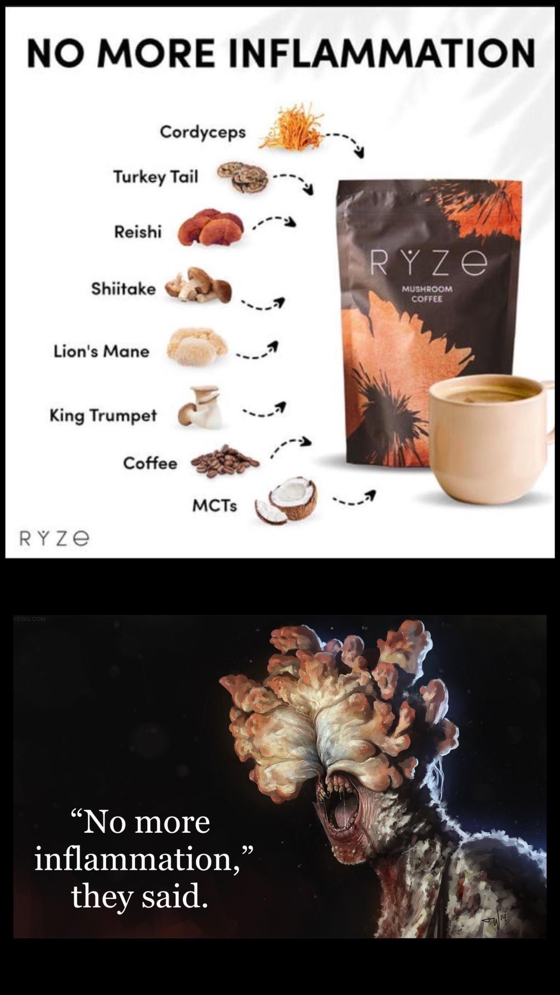 NO MORE INFLAMMATION shitake 0 Lions Mane King Trumpet Coffee No more inflammation they said