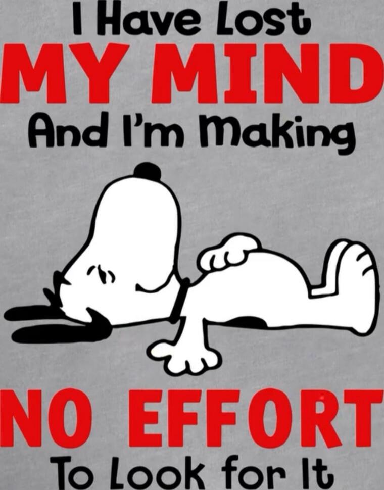 I Have Lost MY MIND And I'm Making NO EFFORT To Look for It