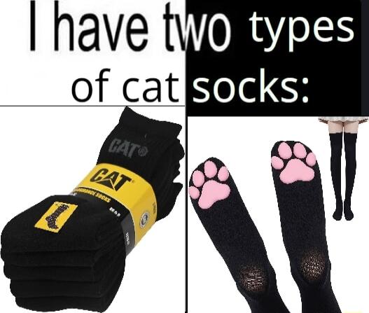 have NRsZeS of cat HeldH