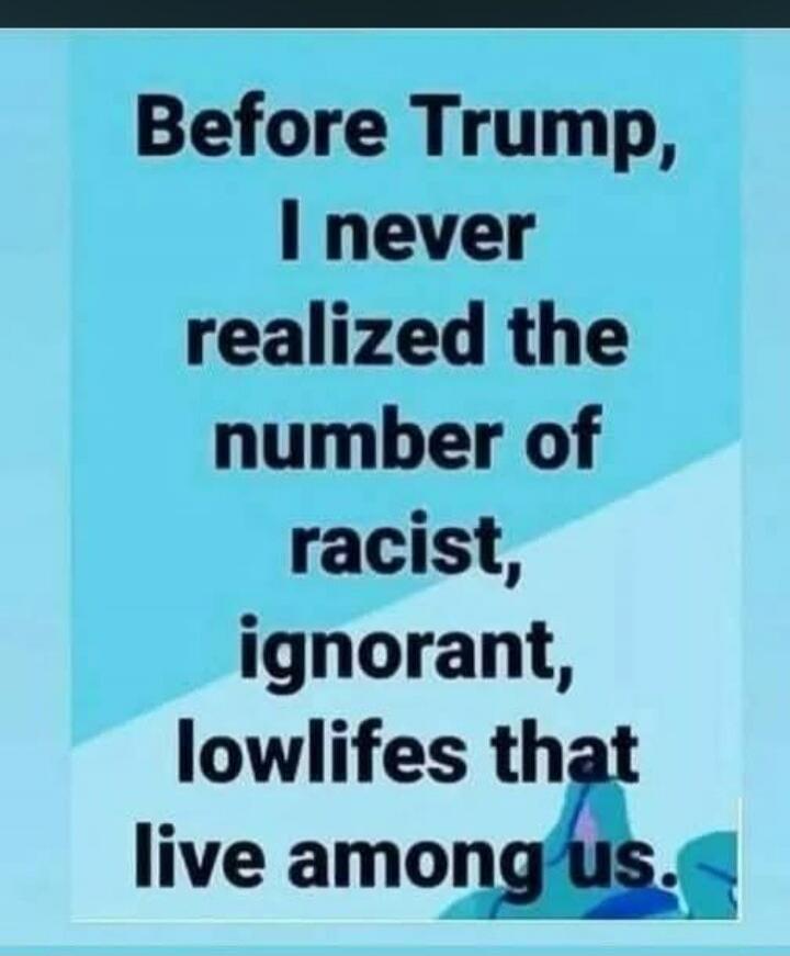 Before Trump, I never realized the number of racist, ignorant, lowlifes that live among us.