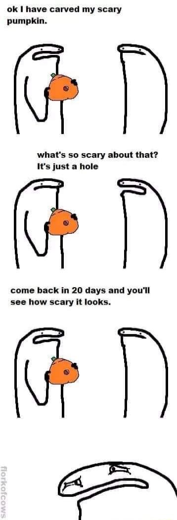 ok have carved my scary pumpkin whats so scary about that Its just a hole come back in 20 days and youll see how scary it looks 1