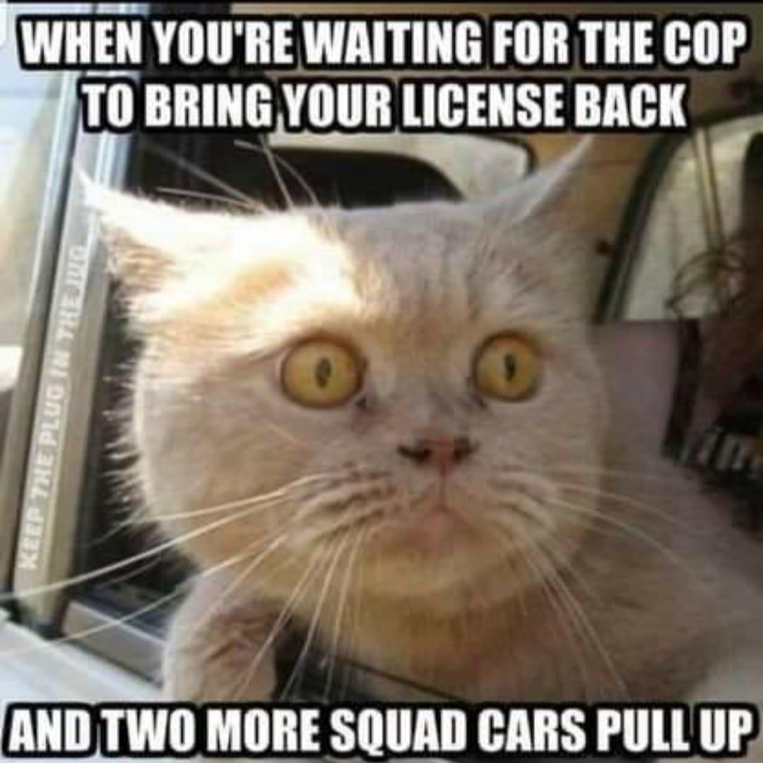 WHEN YOURE WAITING FOR THE COP T0 BRING YOUR LICENSE BACK o ot V4 AND TWO MORE SQUAD CARS PULL UP