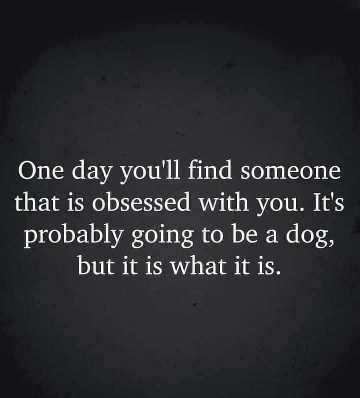 One day youll find someone that is obsessed with you Its probably going to be a dog but it is what it is