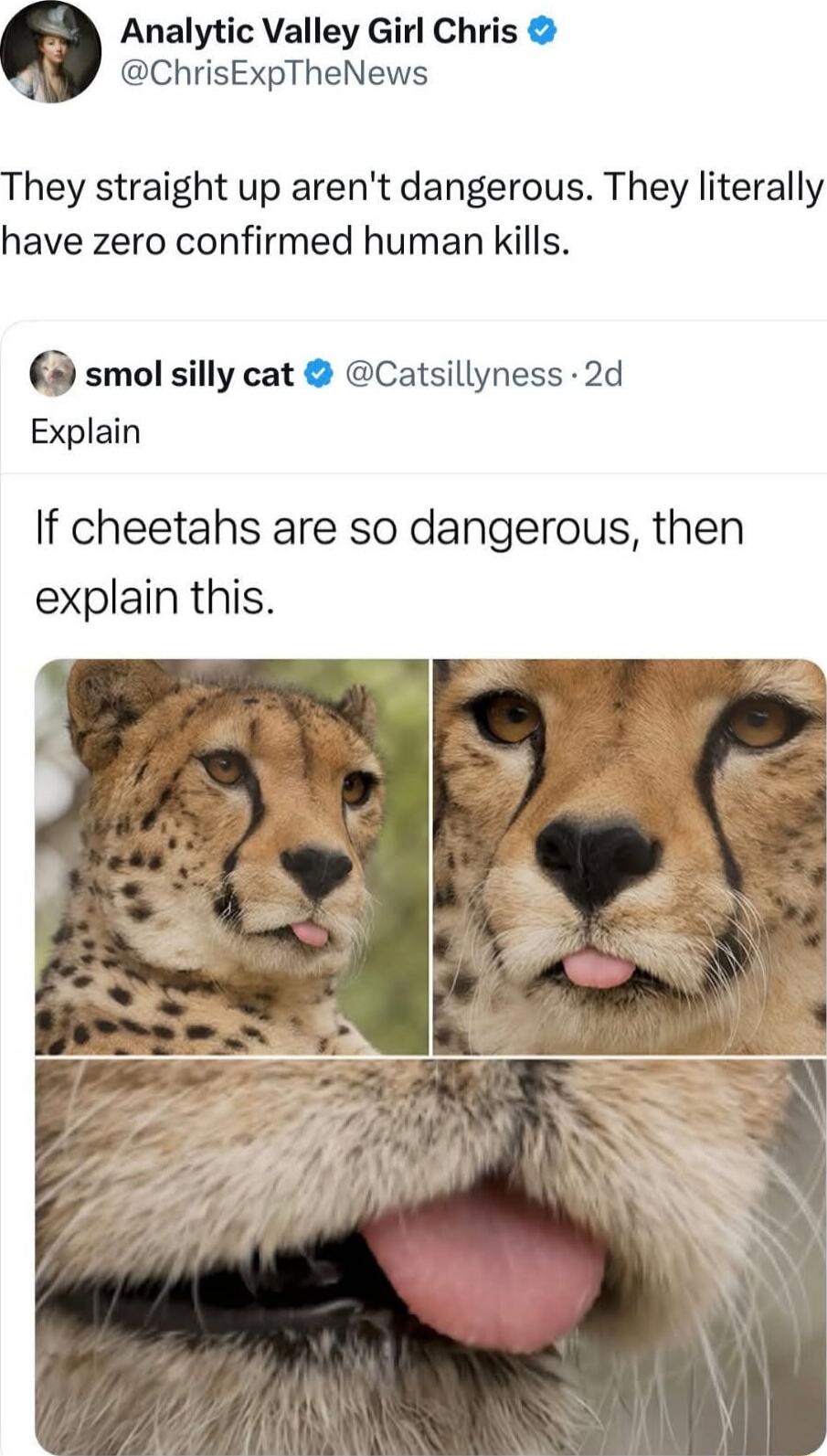 They straight up aren't dangerous. They literally have zero confirmed human kills.

Explain

If cheetahs are so dangerous, then explain this.