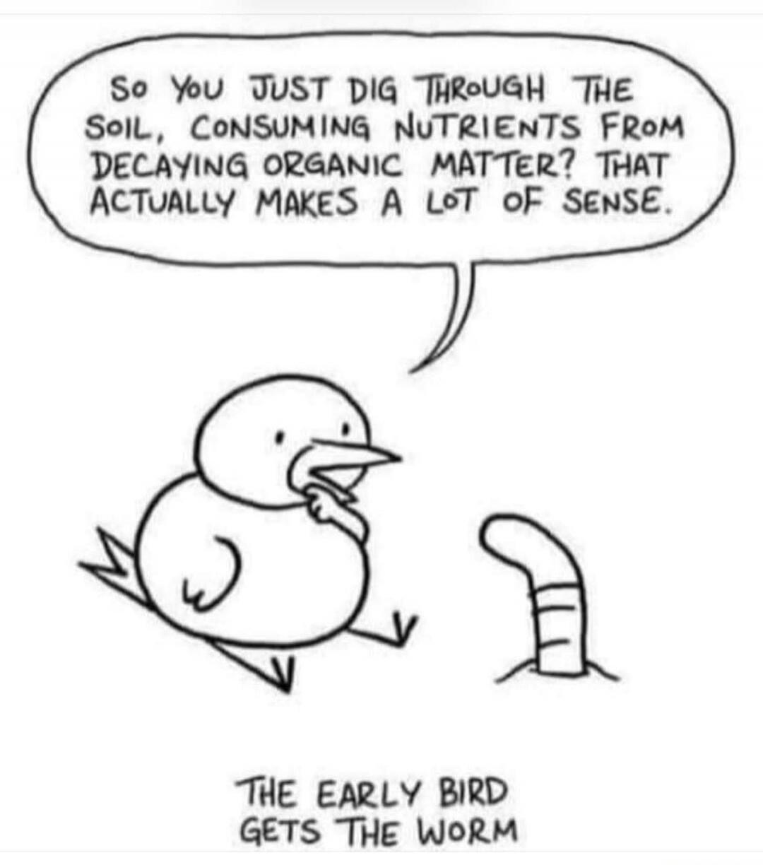 So you just dig through the soil, consuming nutrients from decaying organic matter? That actually makes a lot of sense. THE EARLY BIRD GETS THE WORM