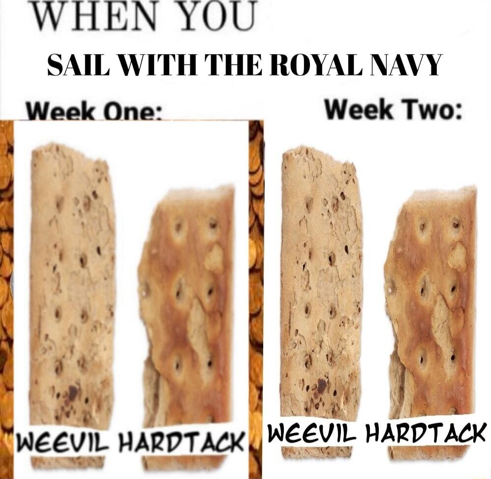 WHEN YOU SAIL WITH THE ROYAL NAVY Week One Week Two 4 o T N1k g 0 i hl r LR 1 Neevu_ HAWTMK weevn HARVTAK