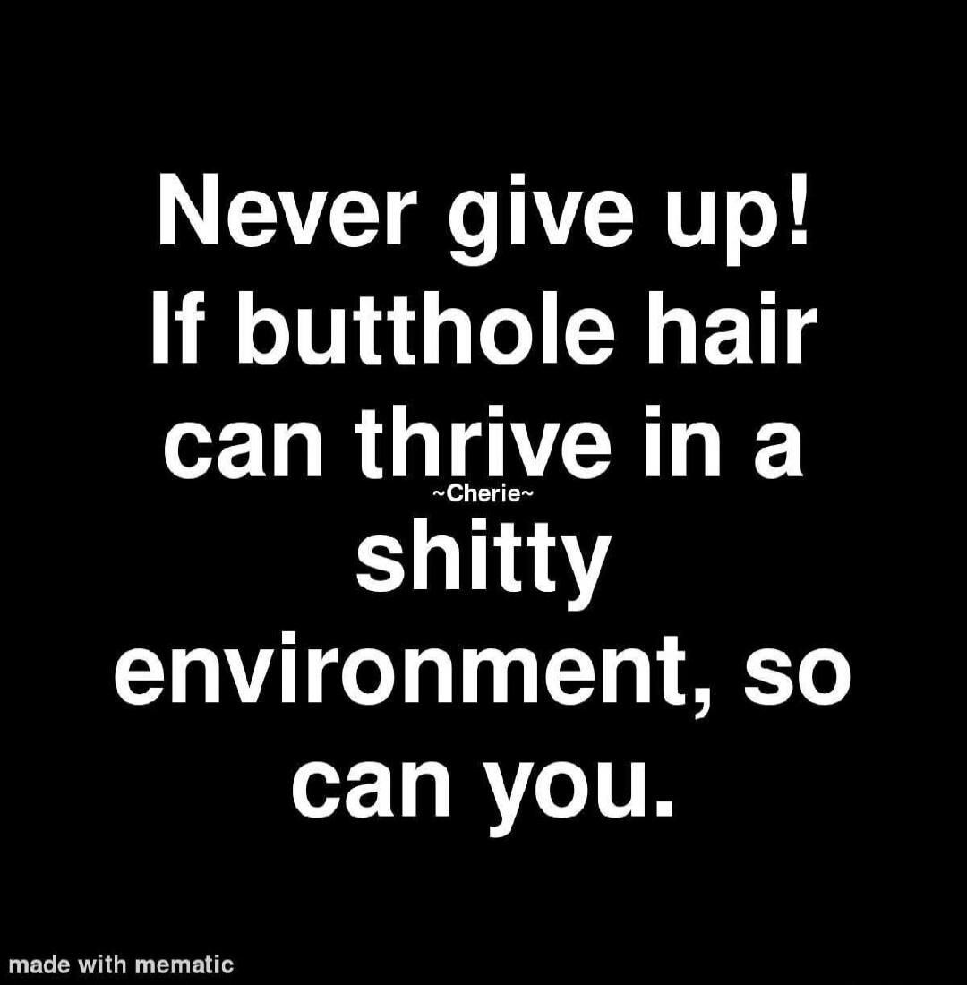 Never give up! If butthole hair can thrive in a shitty environment, so can you.