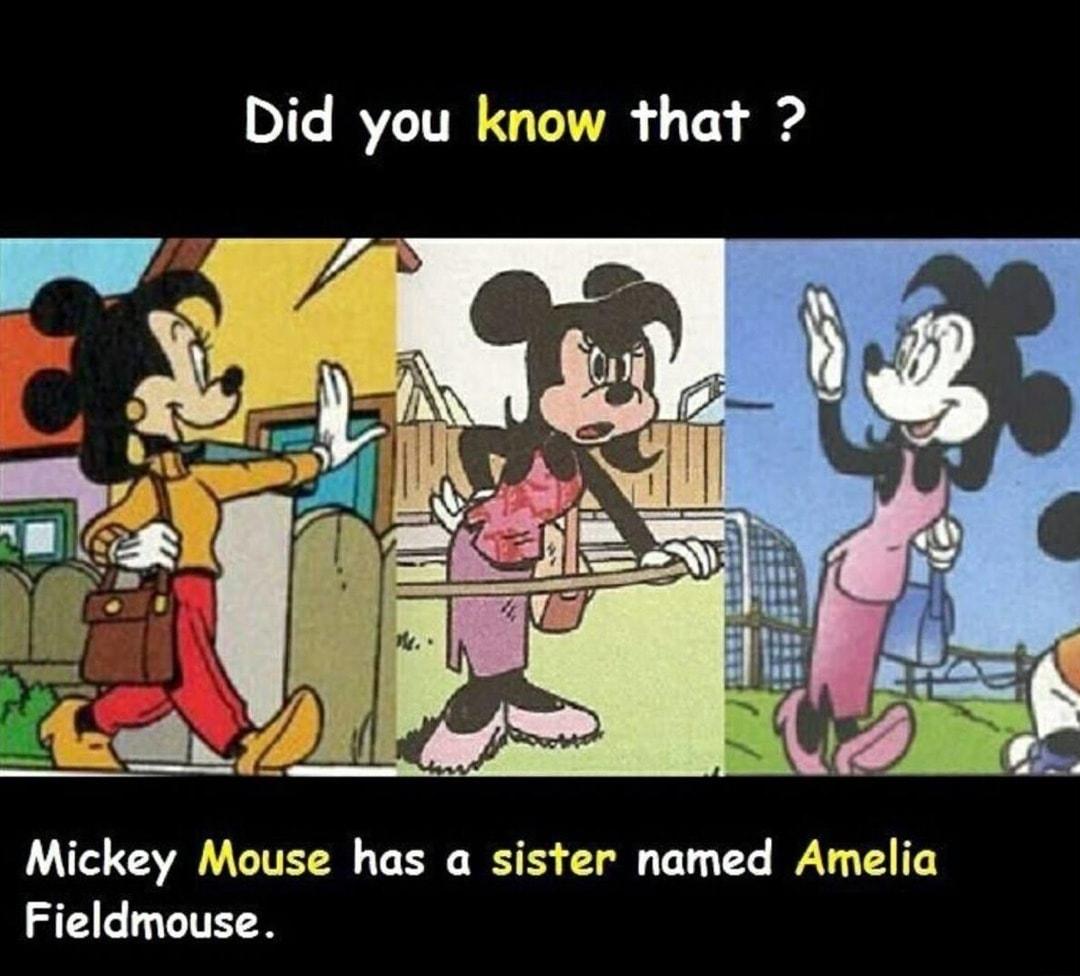 DI RVITRICTITR 1 g Mickey Mouse has a sister named Amelia Fieldmouse