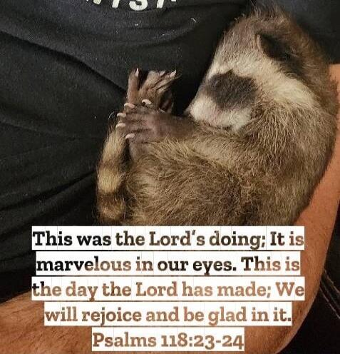 This was the Lord's doing; It is marvelous in our eyes. This is the day the Lord has made; We will rejoice and be glad in it. PSALMS 118:23-24