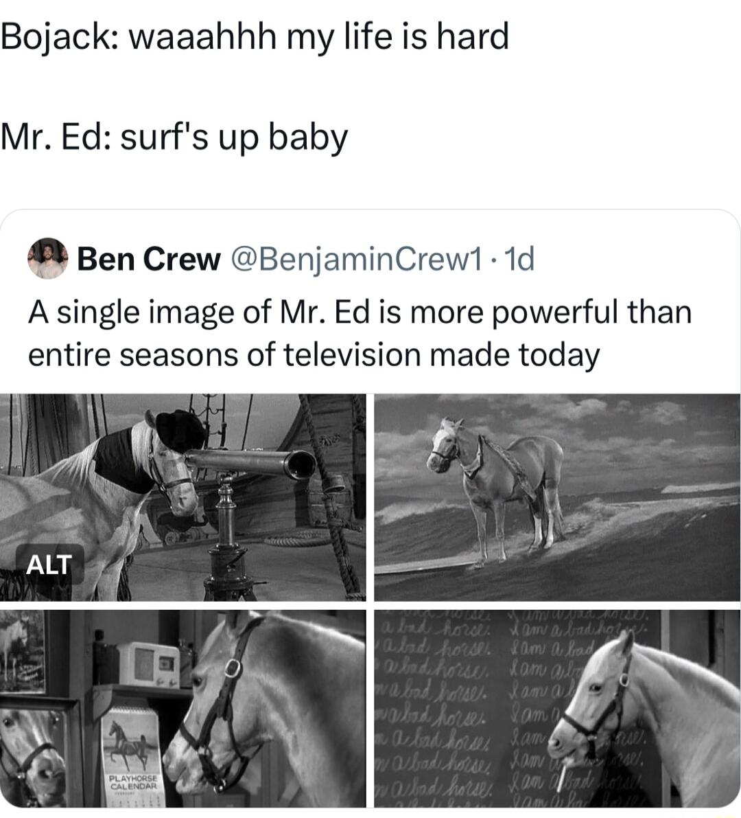 Bojack waaahhh my life is hard Mr Ed surfs up baby Ben Crew BenjaminCrew1 1d A single image of Mr Ed is more powerful than entire seasons of television made today