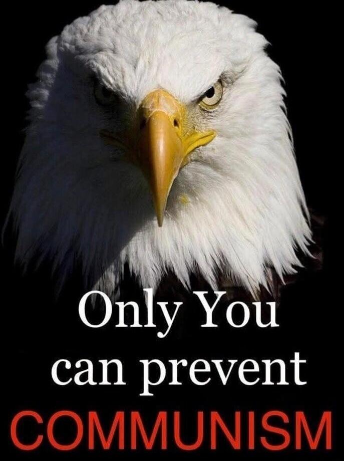Only You can prevent COMMUNISM