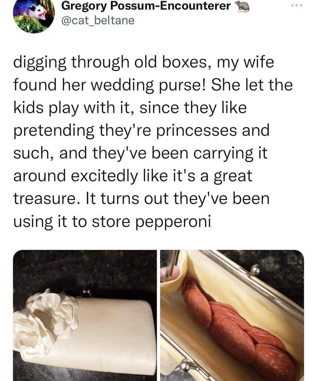 Gregory Possum Encounterer cat_beltane digging through old boxes my wife found her wedding purse She let the kids play with it since they like pretending theyre princesses and such and theyve been carrying it around excitedly like its a great treasure It turns out theyve been using it to store pepperoni