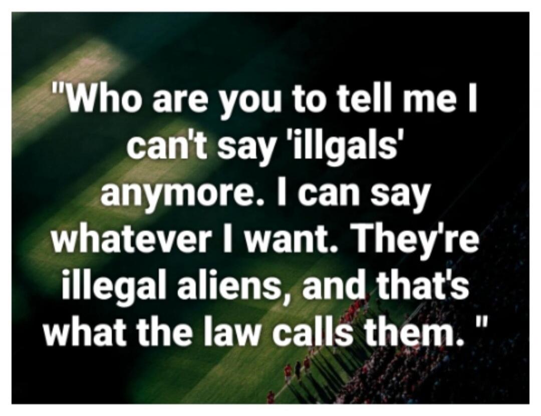 Who are you to tell me I can't say 'illgals' anymore. I can say whatever I want. They're illegal aliens, and that's what the law calls them.