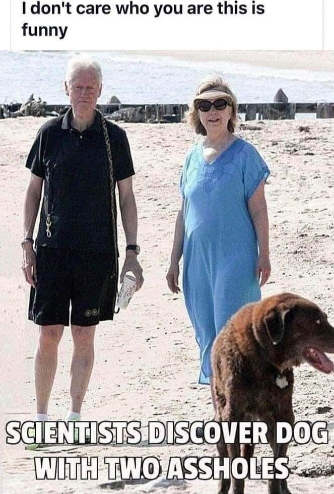 I don't care who you are this is funny. Scientists discover dog with two assholes.