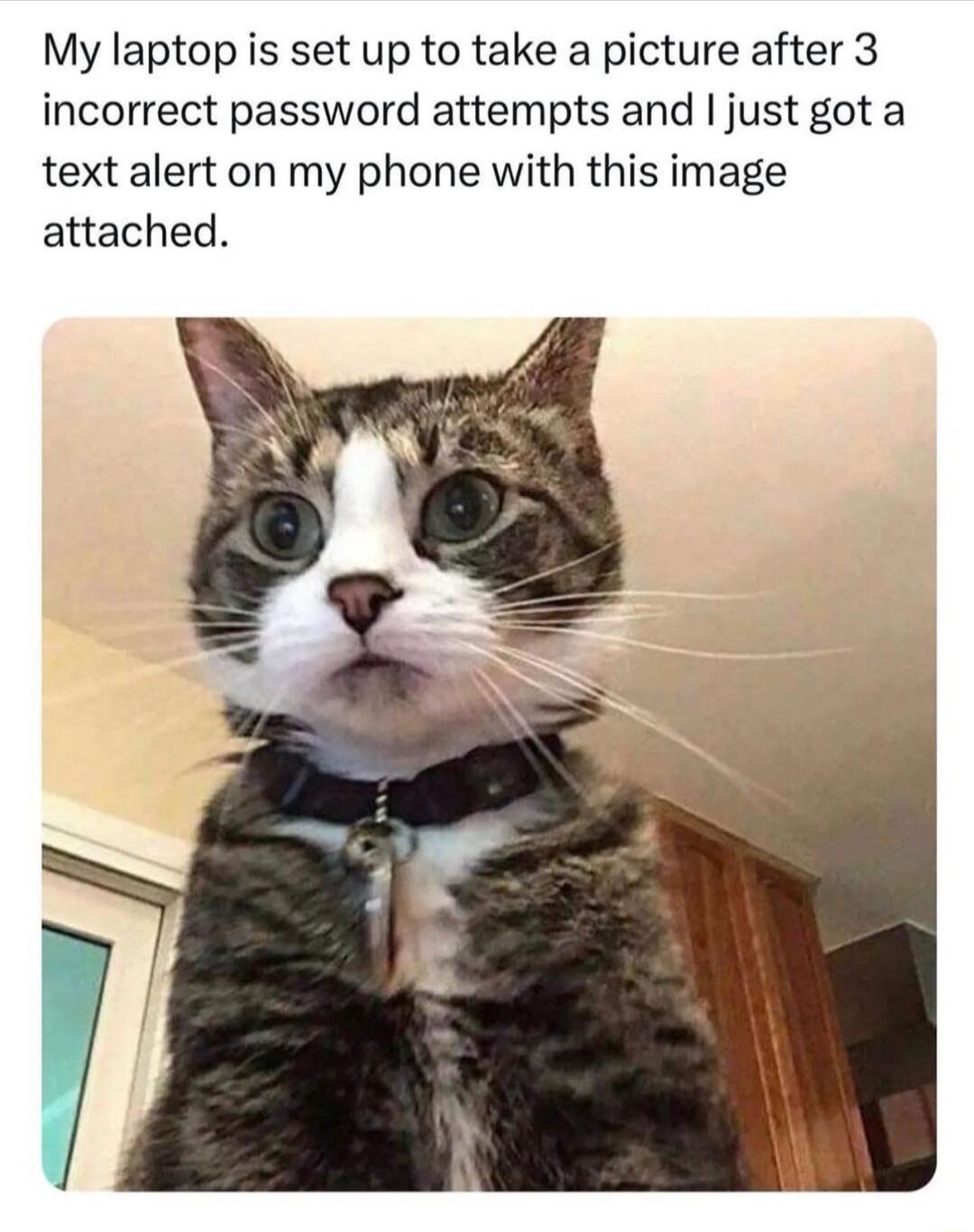 My laptop is set up to take a picture after 3 incorrect password attempts and just got a text alert on my phone with this image attached