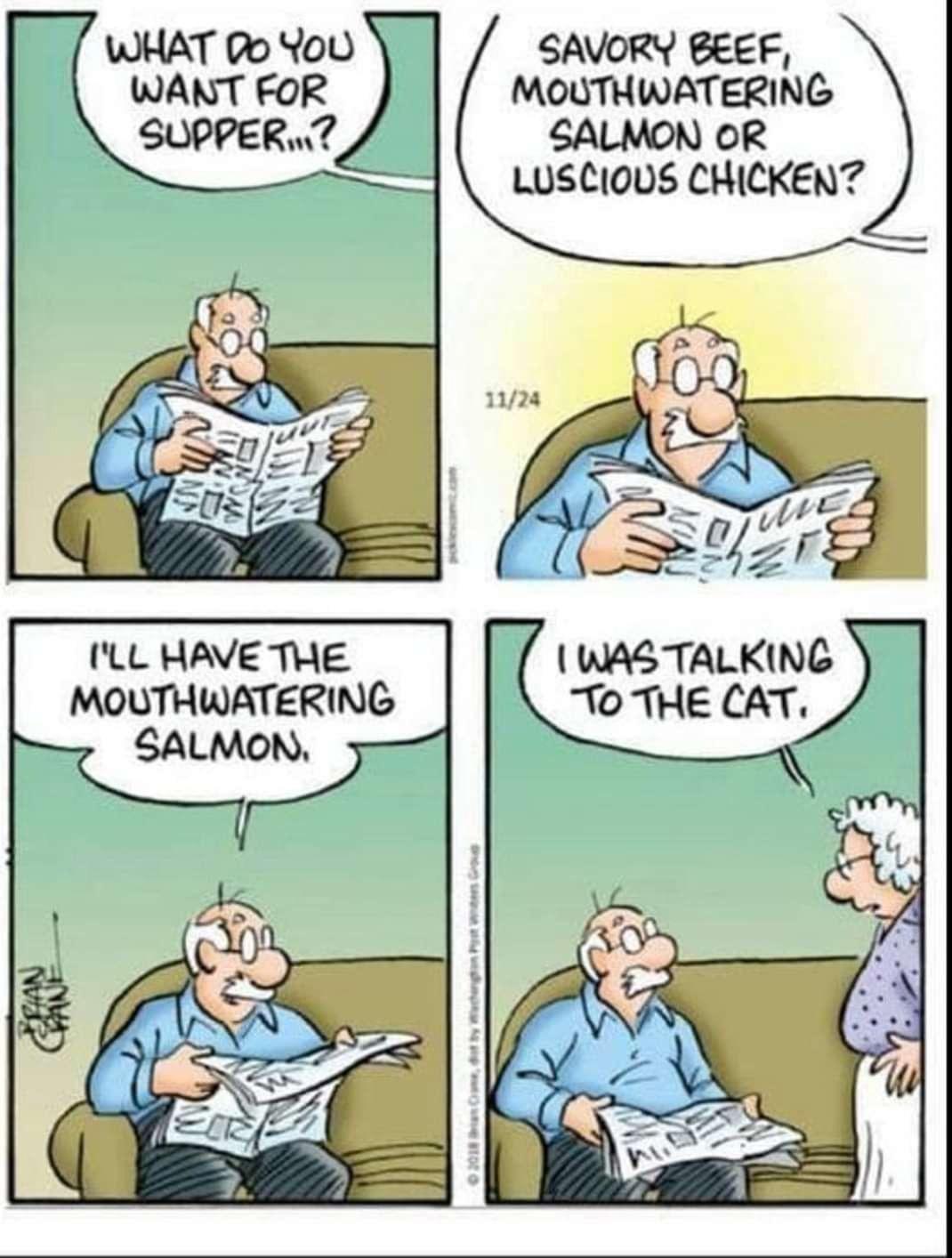 SAVORY BEEF MOUTHWATERING SALMON OR LUSCI0US CHICKEN ILL HAVE THE WAS TALKING MOUTHWATERING To THE CAT SALMON