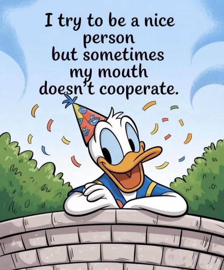 I try to be a nice person but sometimes my mouth doesn't cooperate.