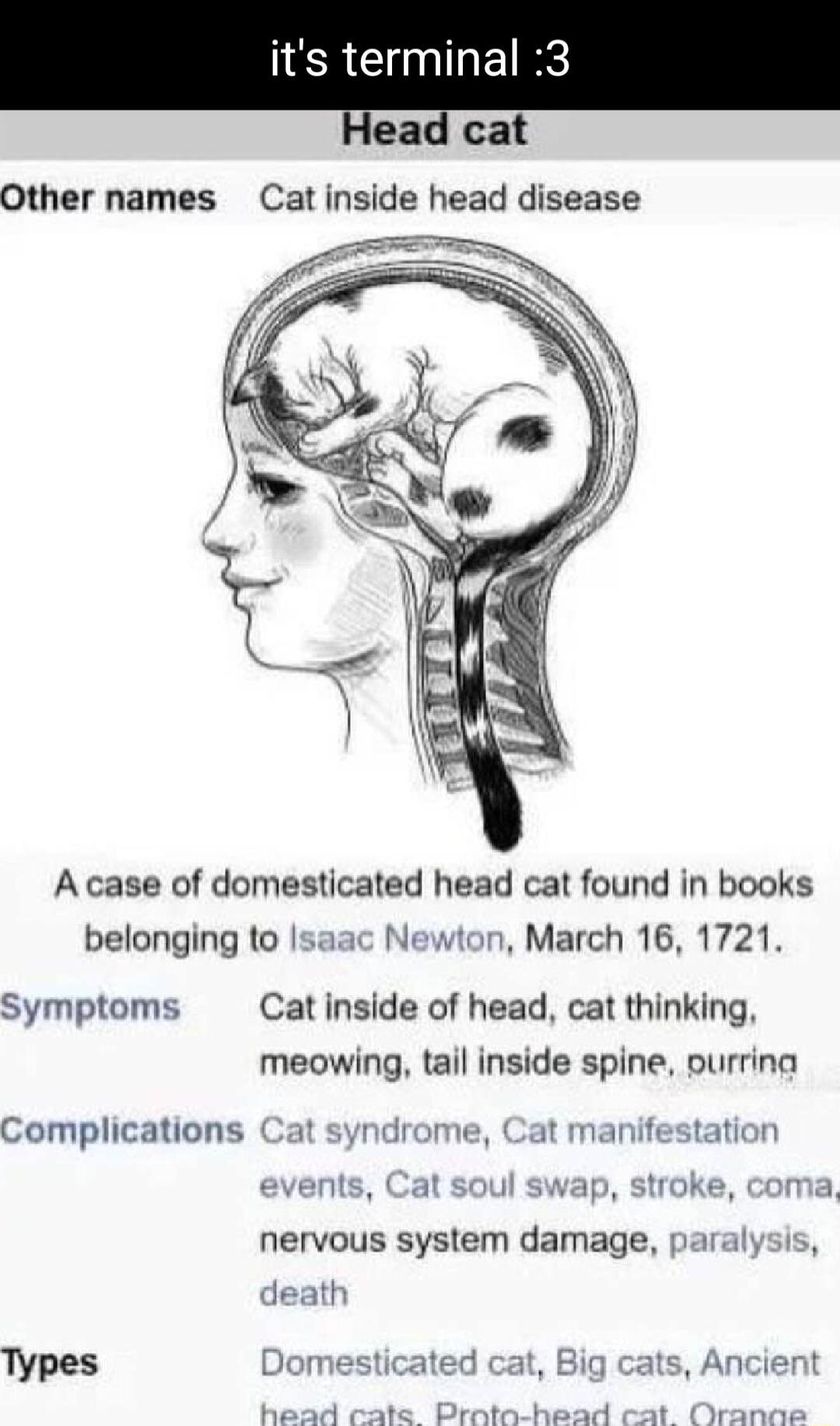 ead cat Other names Cat inside head disease A case of domesticated head cat found in books belonging to Isaac Newton March 16 1721 Symptoms Cat inside of head cat thinking meowing tail inside spine ourrina Complications Cat syndrome Cat manifestation events Cat soul swap stroke coma nervous system damage paralysis death Types Domestic head c cats Ancient Prata head cat Orar
