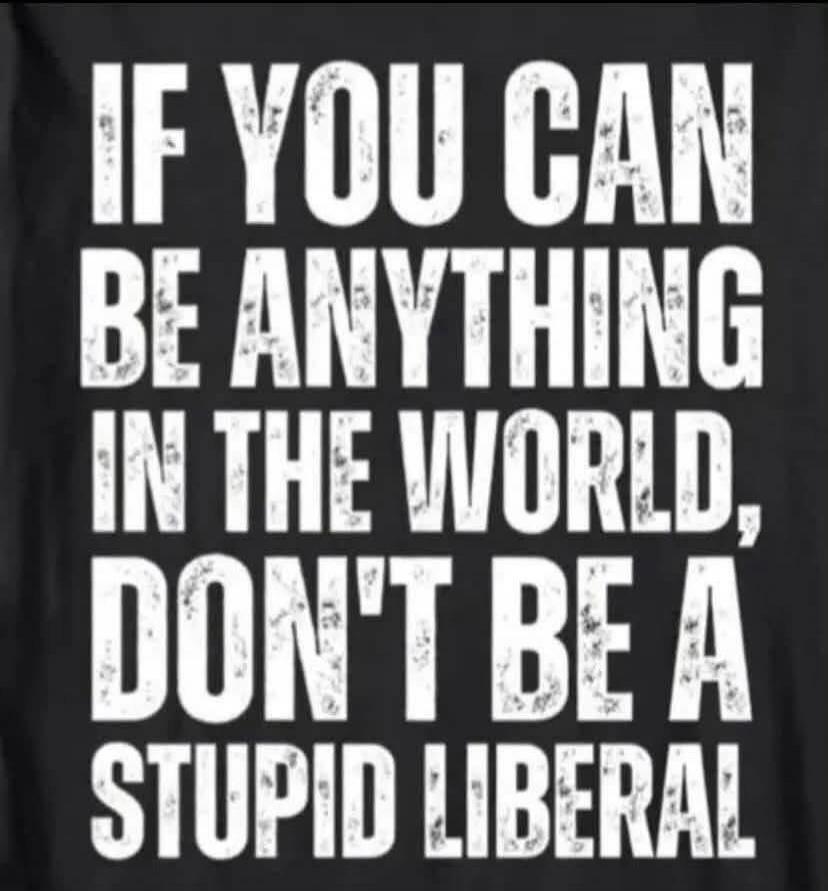 IF YOU CAN BE ANYTHING IN THE WORLD, DON'T BE A STUPID LIBERAL