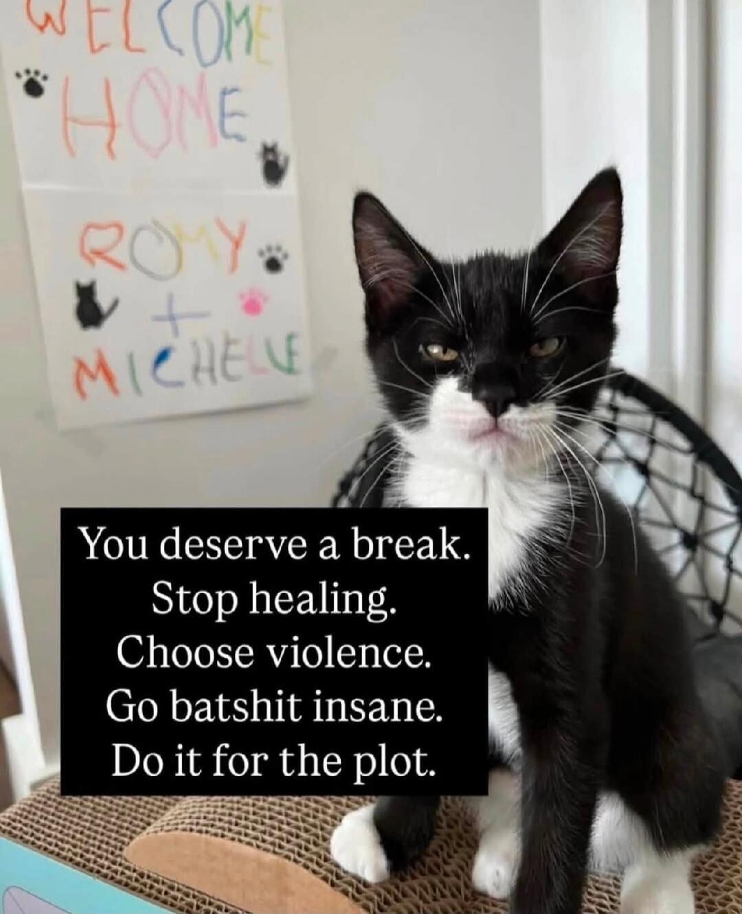 WELCOME HOME ROMY + MICHELLE You deserve a break. Stop healing. Choose violence. Go batshit insane. Do it for the plot.
