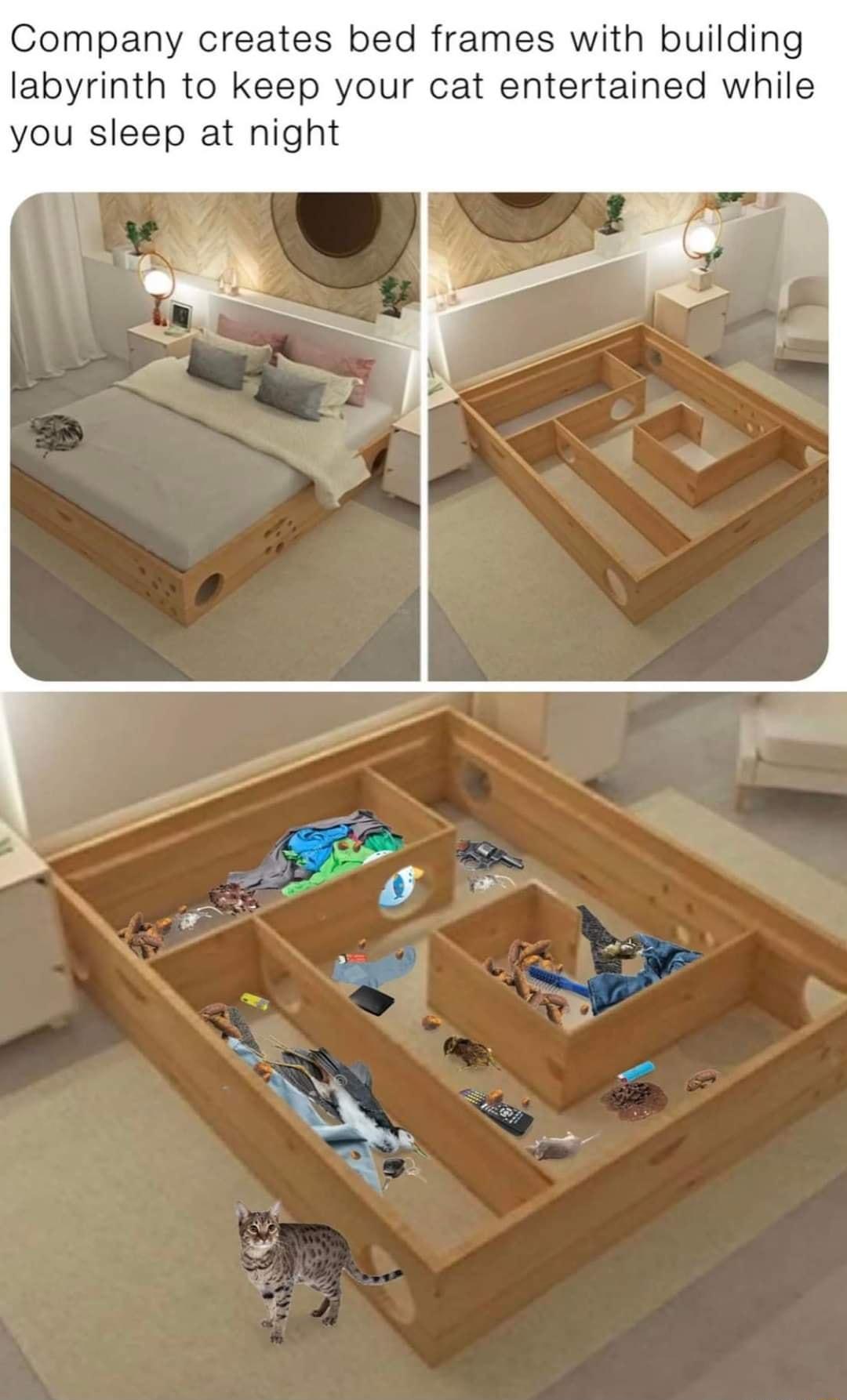 Company creates bed frames with building labyrinth to keep your cat entertained while you sleep at night
