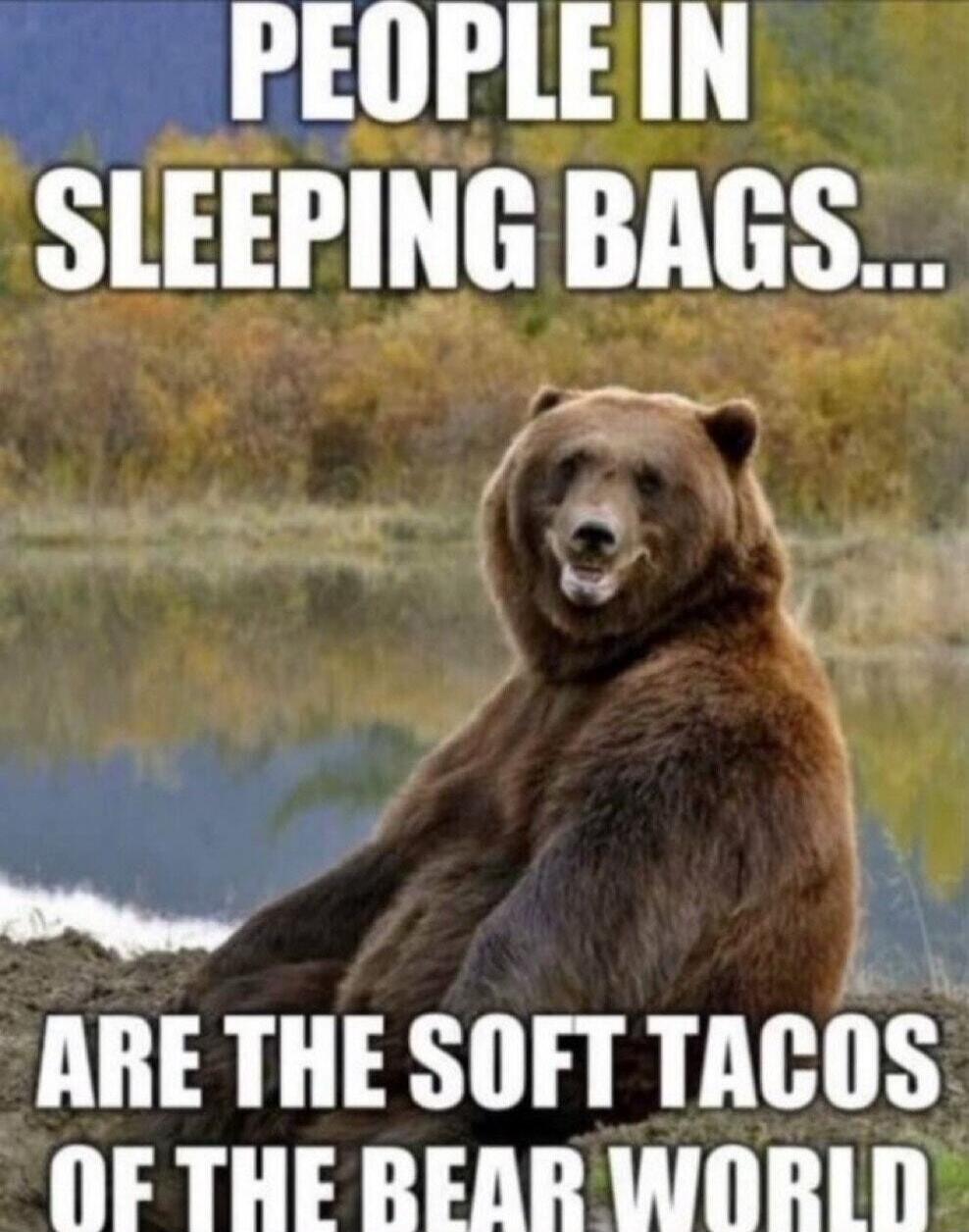 PEOPLE IN SLEEPING BAGS... ARE THE SOFT TACOS OF THE BEAR WORLD