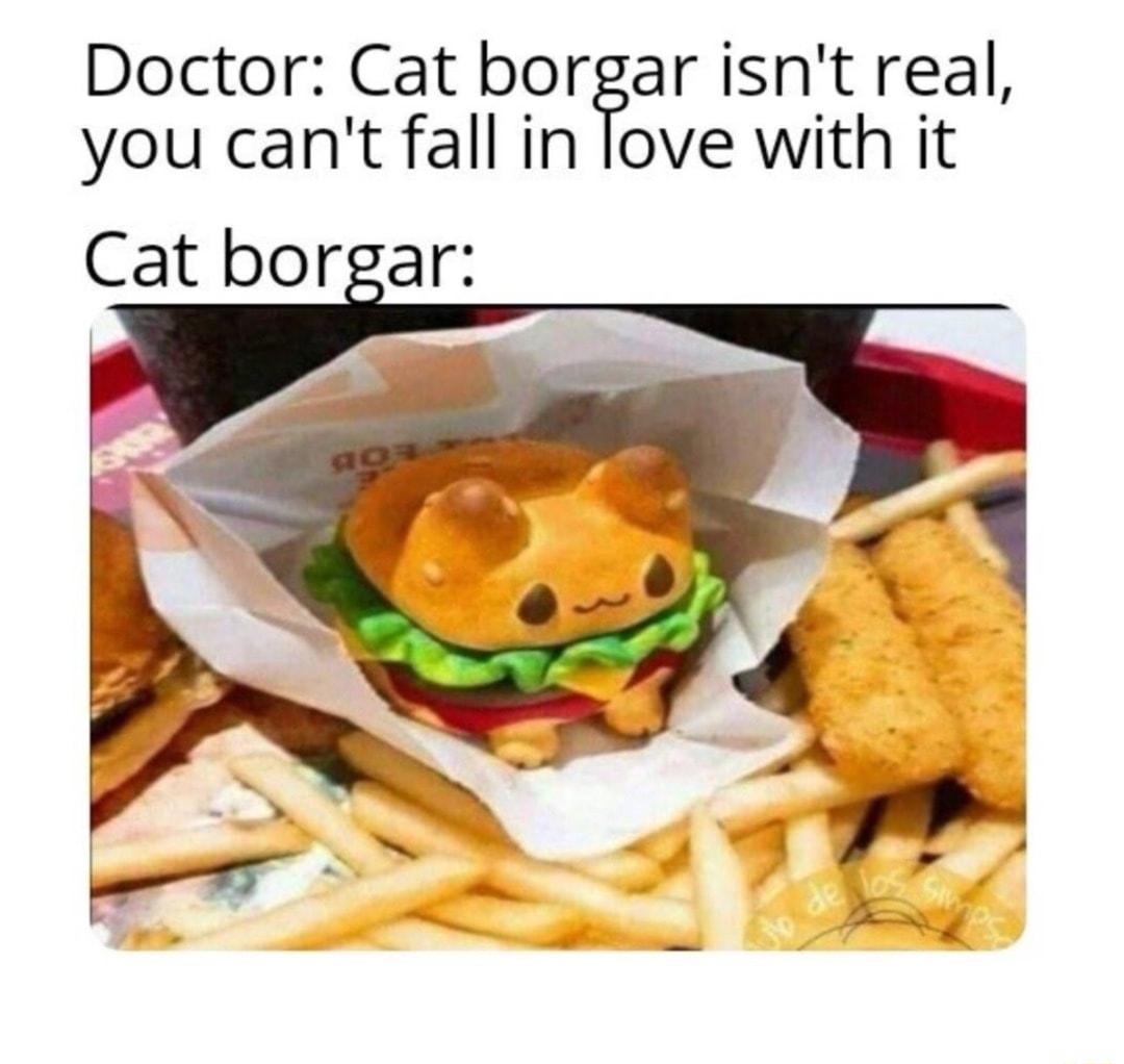 Doctor Cat borgar isnt real you cant fall in love with it Cat borgar