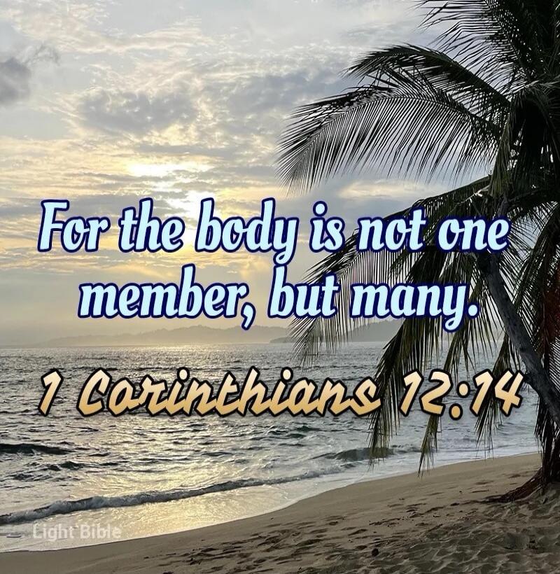 For the body is not one member, but many. 1 Corinthians 12:14 Light Bible