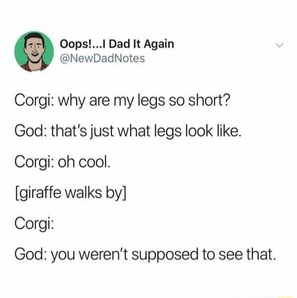 Oops!... I Dad It Again
@NewDadNotes
Corgi: why are my legs so short?
God: that's just what legs look like.
Corgi: oh cool.
[giraffe walks by]
Corgi:
God: you weren't supposed to see that.