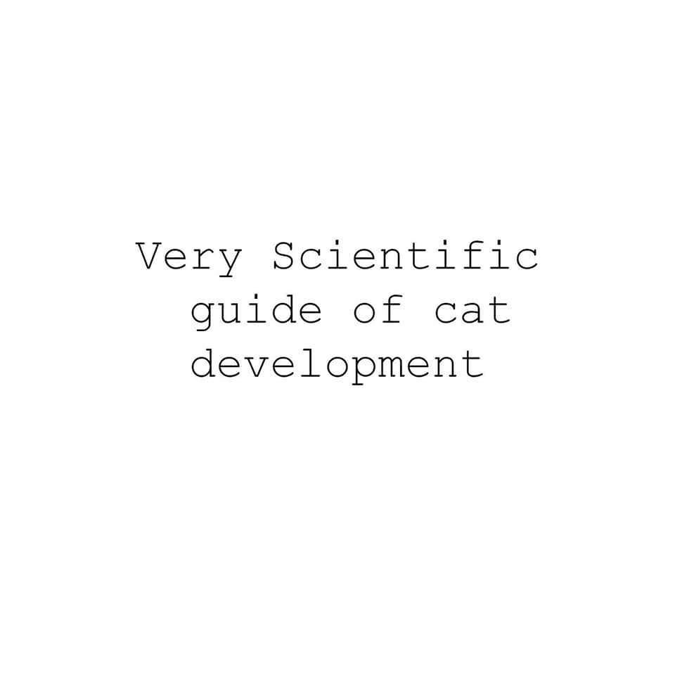 Very Scientific guide of cat development