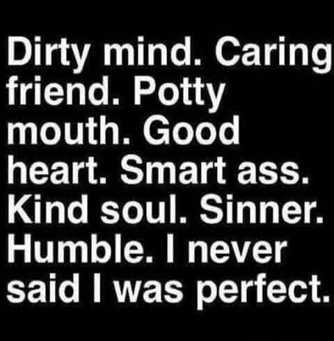 Dirty mind. Caring friend. Potty mouth. Good heart. Smart ass. Kind soul. Sinner. Humble. I never said I was perfect.