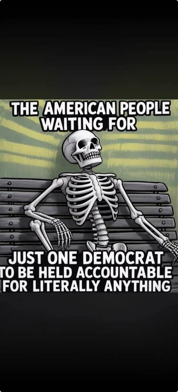 THE AMERICAN PEOPLE WAITING FOR JUST ONE DEMOCRAT TO BE HELD ACCOUNTABLE FOR LITERALLY ANYTHING