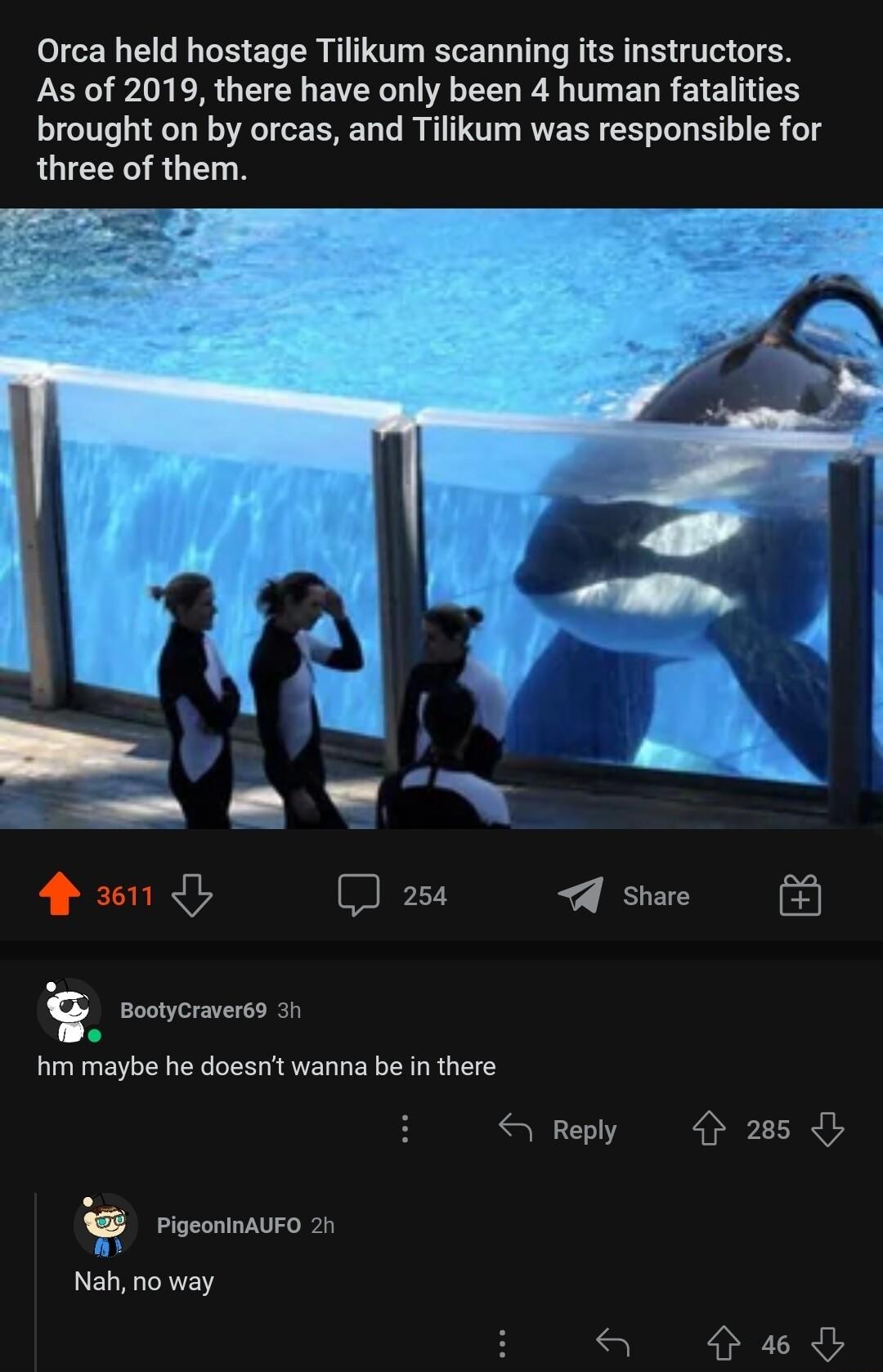 Orca held hostage Tilikum scanning its instructors LR ER QTR EVERG IV A T EL R ETE brought on by orcas and Tilikum was responsible for three of them B 1 b G 254 A share q BootyCraver69 31 3 hm maybe he doesnt wanna be in there Reply 4 285 rocnnavro Nah no way a6