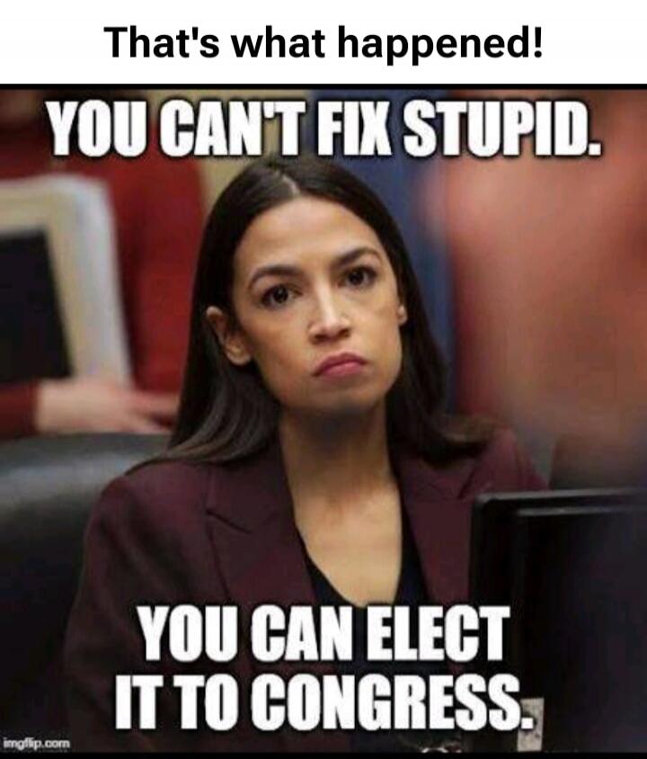That's what happened! YOU CAN'T FIX STUPID. YOU CAN ELECT IT TO CONGRESS.