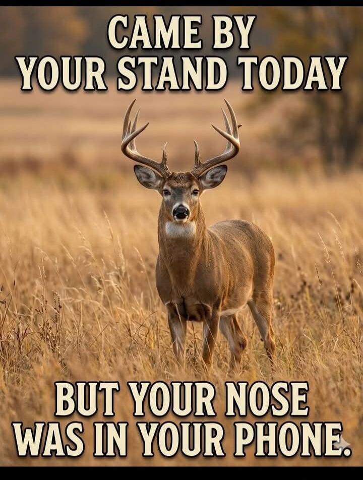 CAME BY YOUR STAND TODAY BUT YOUR NOSE WAS IN YOUR PHONE.