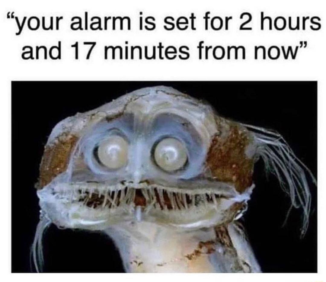 your alarm is set for 2 hours and 17 minutes from now