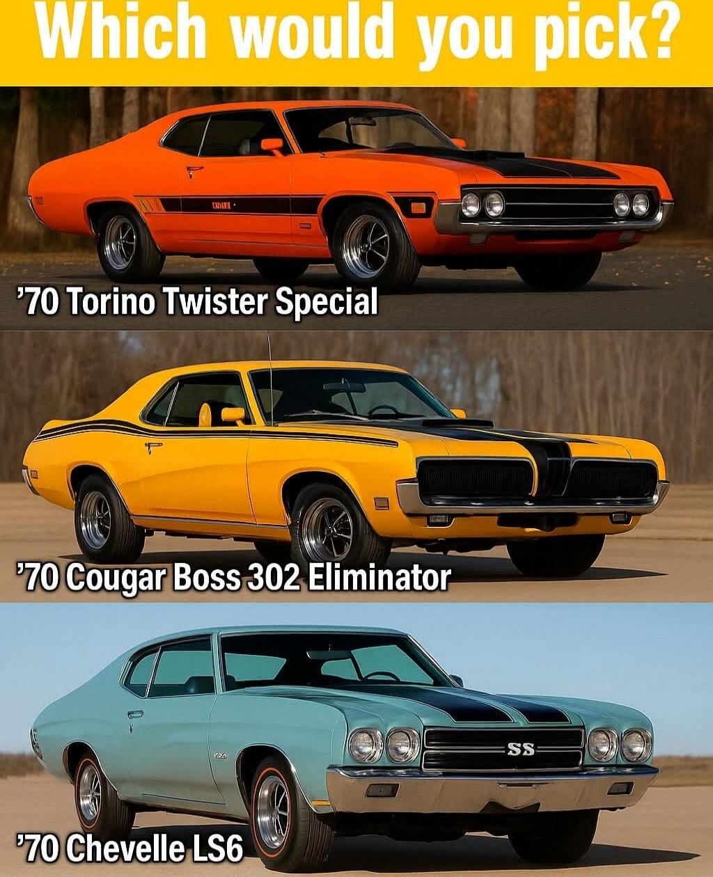 Which would you pick?
'70 Torino Twister Special
'70 Cougar Boss 302 Eliminator
'70 Chevelle LS6