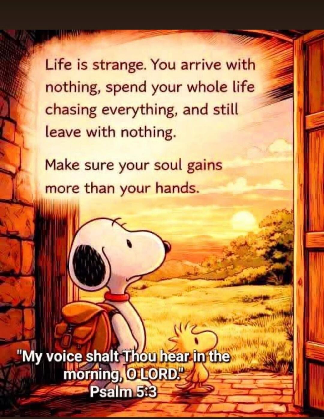 Life is strange. You arrive with nothing, spend your whole life chasing everything, and still leave with nothing. Make sure your soul gains more than your hands. 