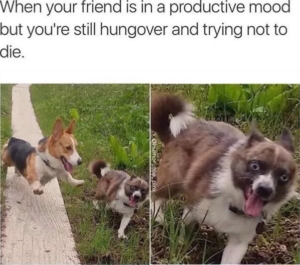 en your friend Is In a productive mood but youre still hungover and trying not to