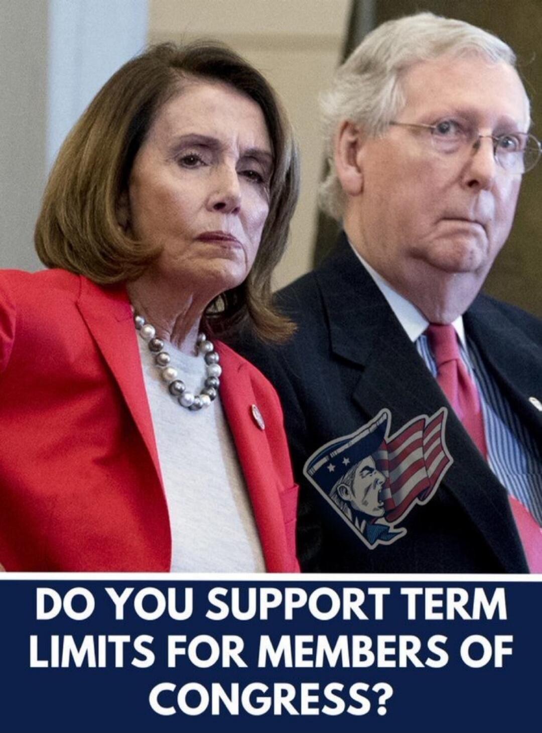 DO YOU SUPPORT TERM LIMITS FOR MEMBERS OF CONGRESS? Session ID: 1092997.