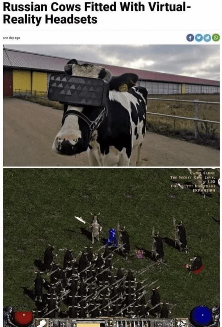 Russian Cows Fitted With Virtual Reality Headsets