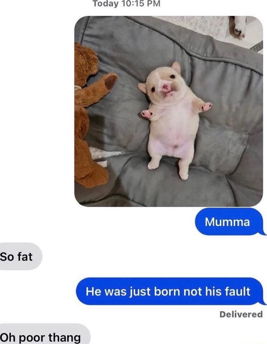 Today 1015 PM So fat Delivered Oh poor thang