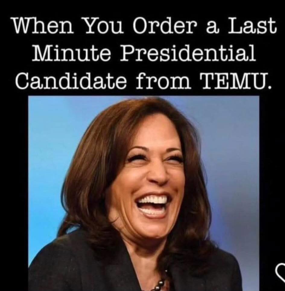 When You Order a Last Minute Presidential Candidate from TEMU.