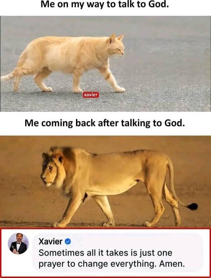 Xavier Sometimes all it takes is just one prayer to change everything Amen