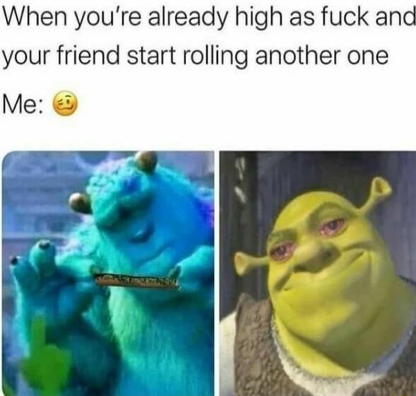 When youre already high as fuck and your friend start rolling another one