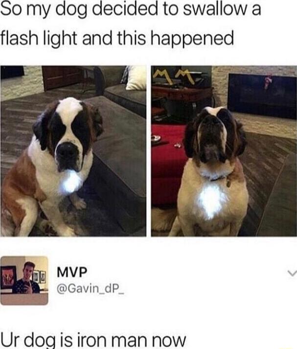SO my dog decided to swallow a flash light and this happened MVP Gavin_dP Ur dog is iron man now