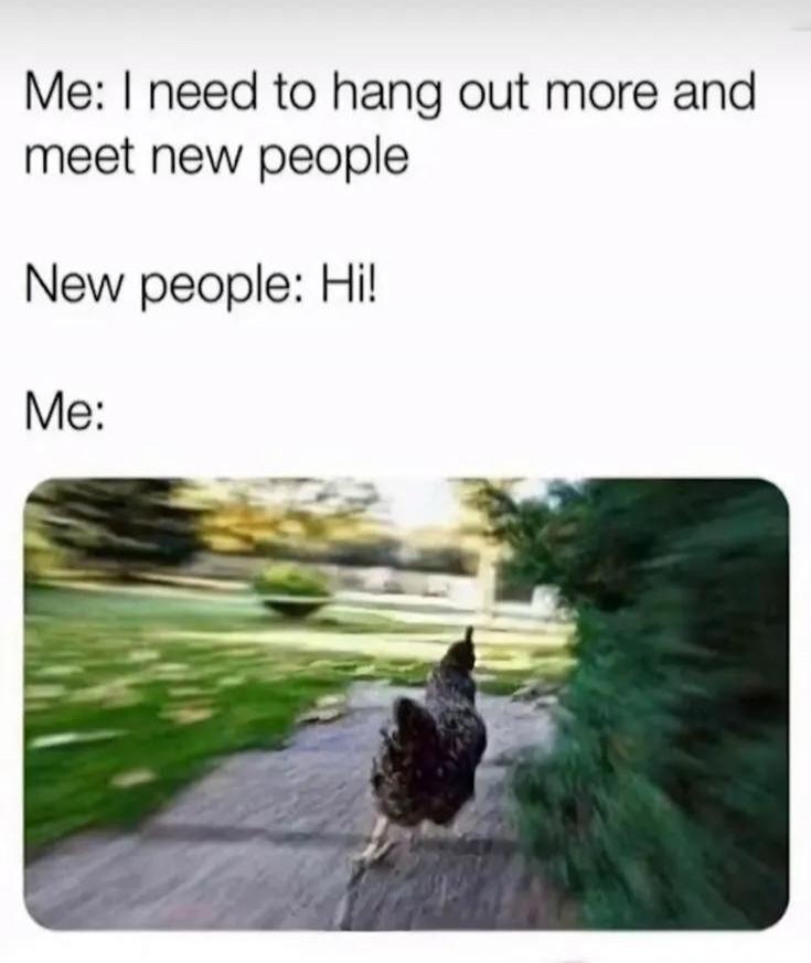 Me: I need to hang out more and meet new people New people: Hi! Me: