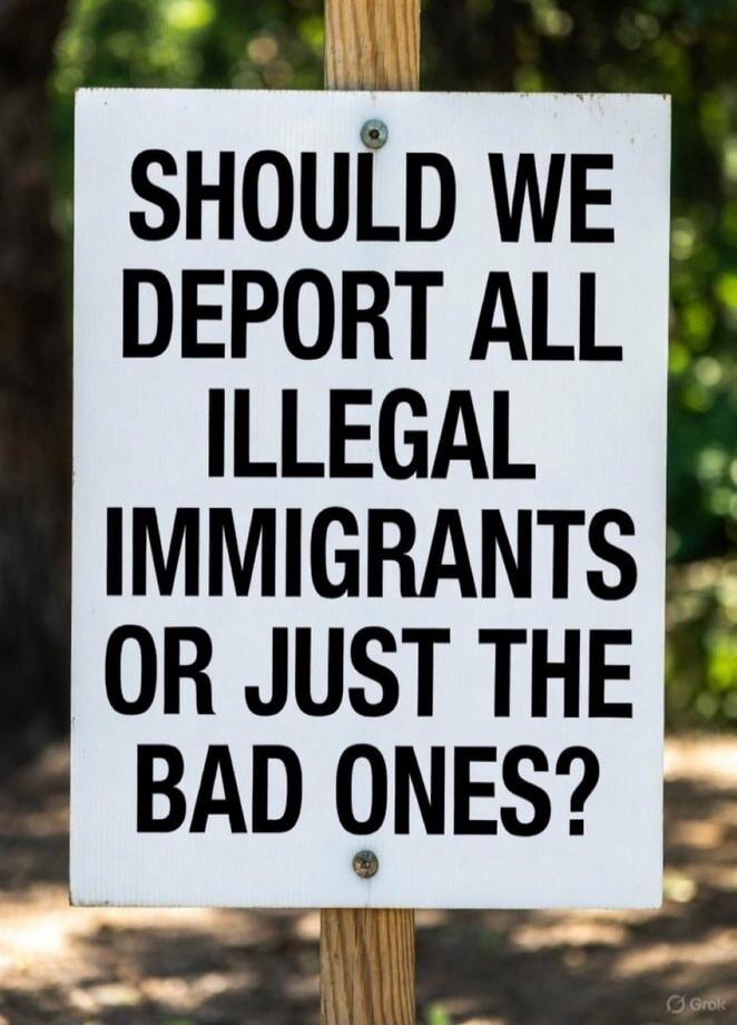 SHOULD WE DEPORT ALL ILLEGAL IMMIGRANTS OR JUST THE BAD ONES?