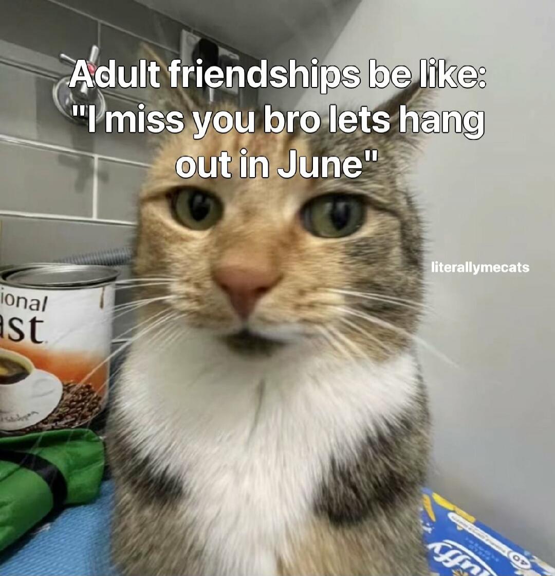 Adult friendships be like: 'I miss you bro lets hang out in June'
