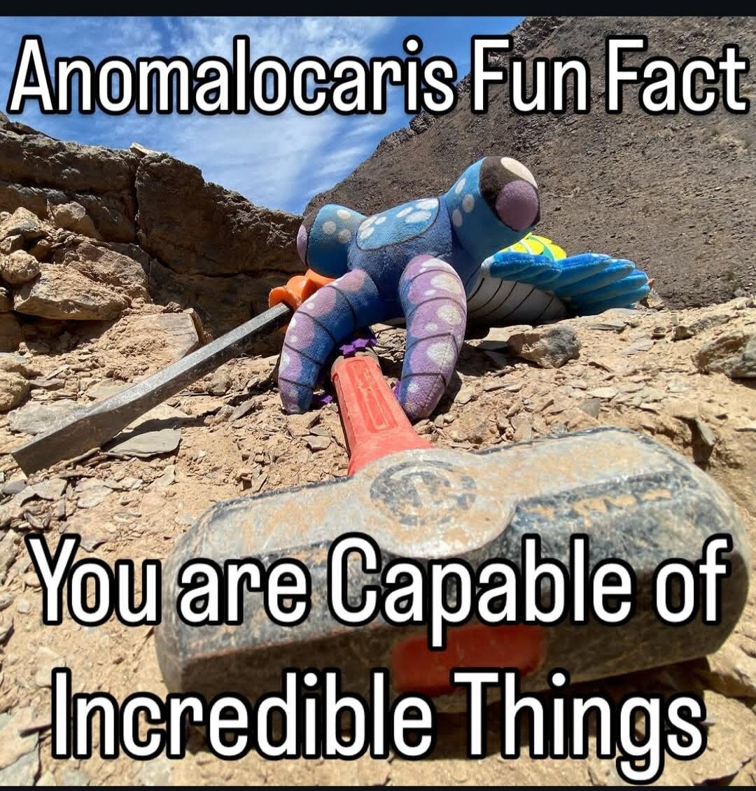 Anomalocaris Fun Fact You are Capable of Incredible Things